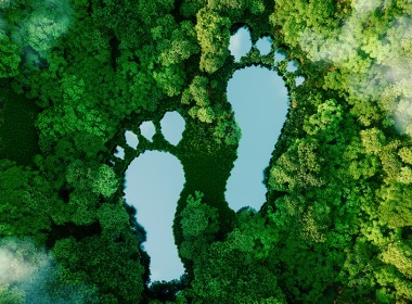Foot prints surrounded by trees