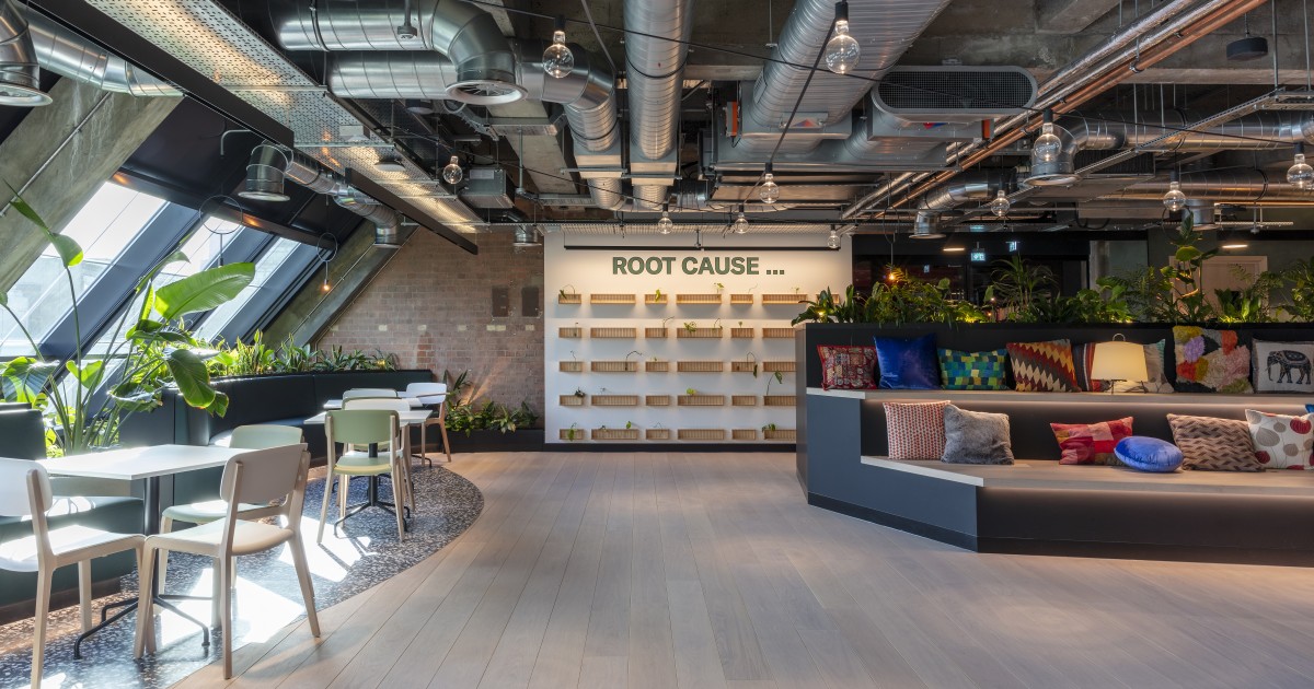 Oscar Acoustics strikes a chord with specifiers NBS Manufacturing