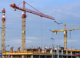 Three yellow cranes